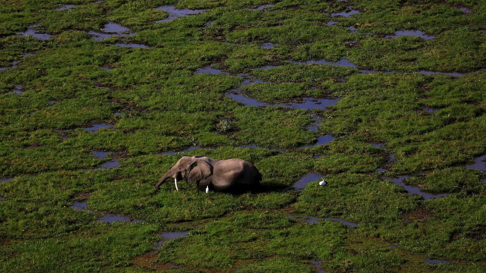 It’s a slow slog back for Kenyan tourism.