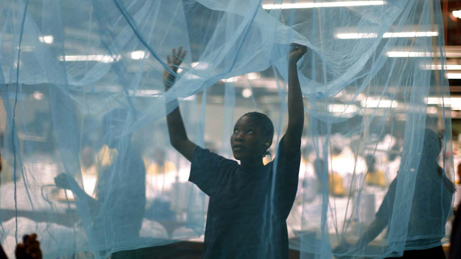 Mosquito nets may not be needed anymore soon.