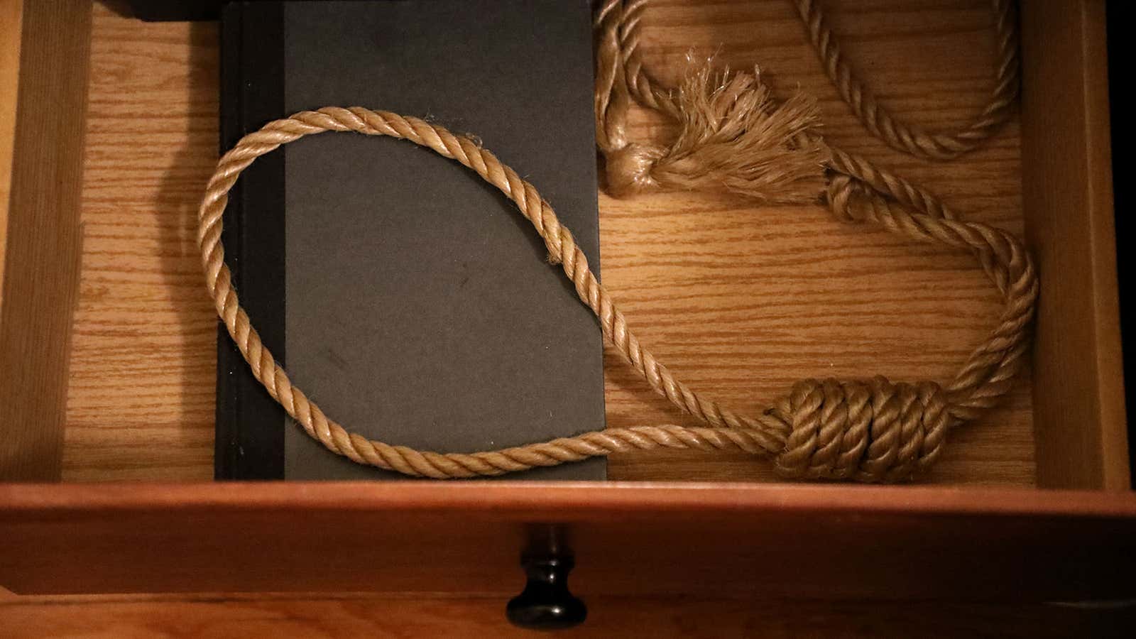Image for Study Finds Suicide Rate Higher Among Noose Owners