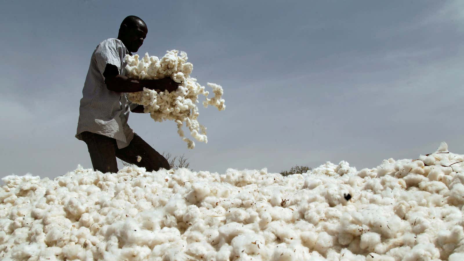 Brazil's Expertise to Boost East Africa Cotton Farming – UNOSSC