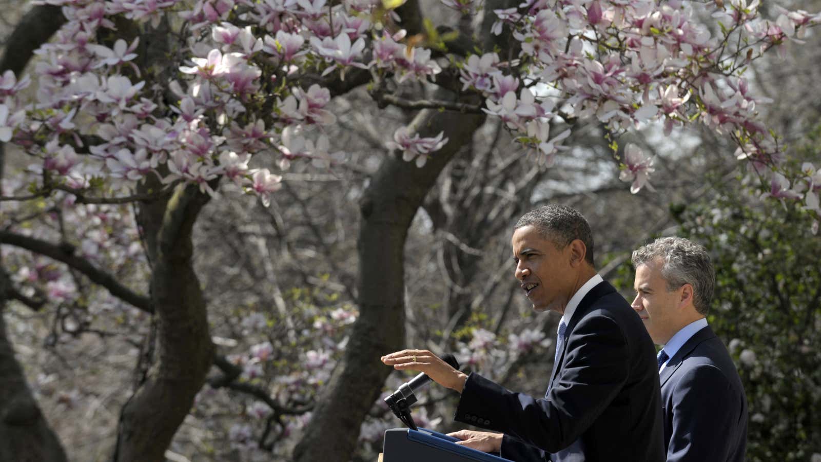 Budgets and blossoms bloom in Washington.