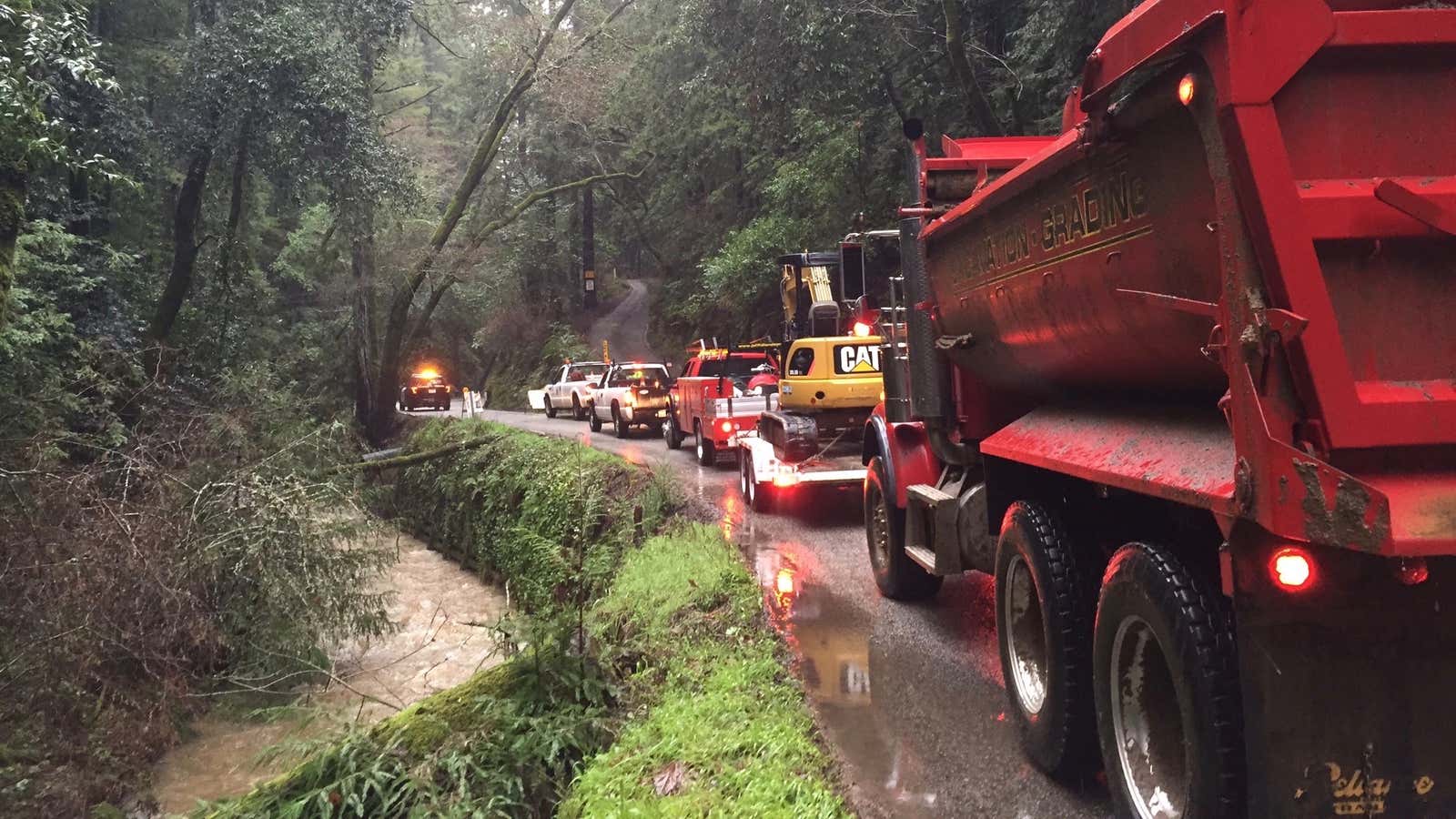 Trees, streams, and traffic patterns all follow the same rule of flow.