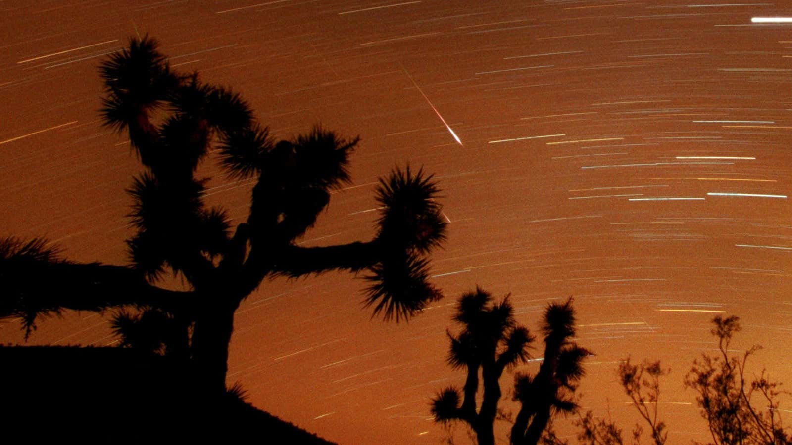 The 2001 Leonids, as seen from Joshua Tree National Park.