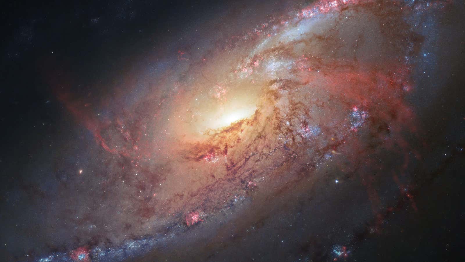 A galaxy a little over 20 million light-years away.