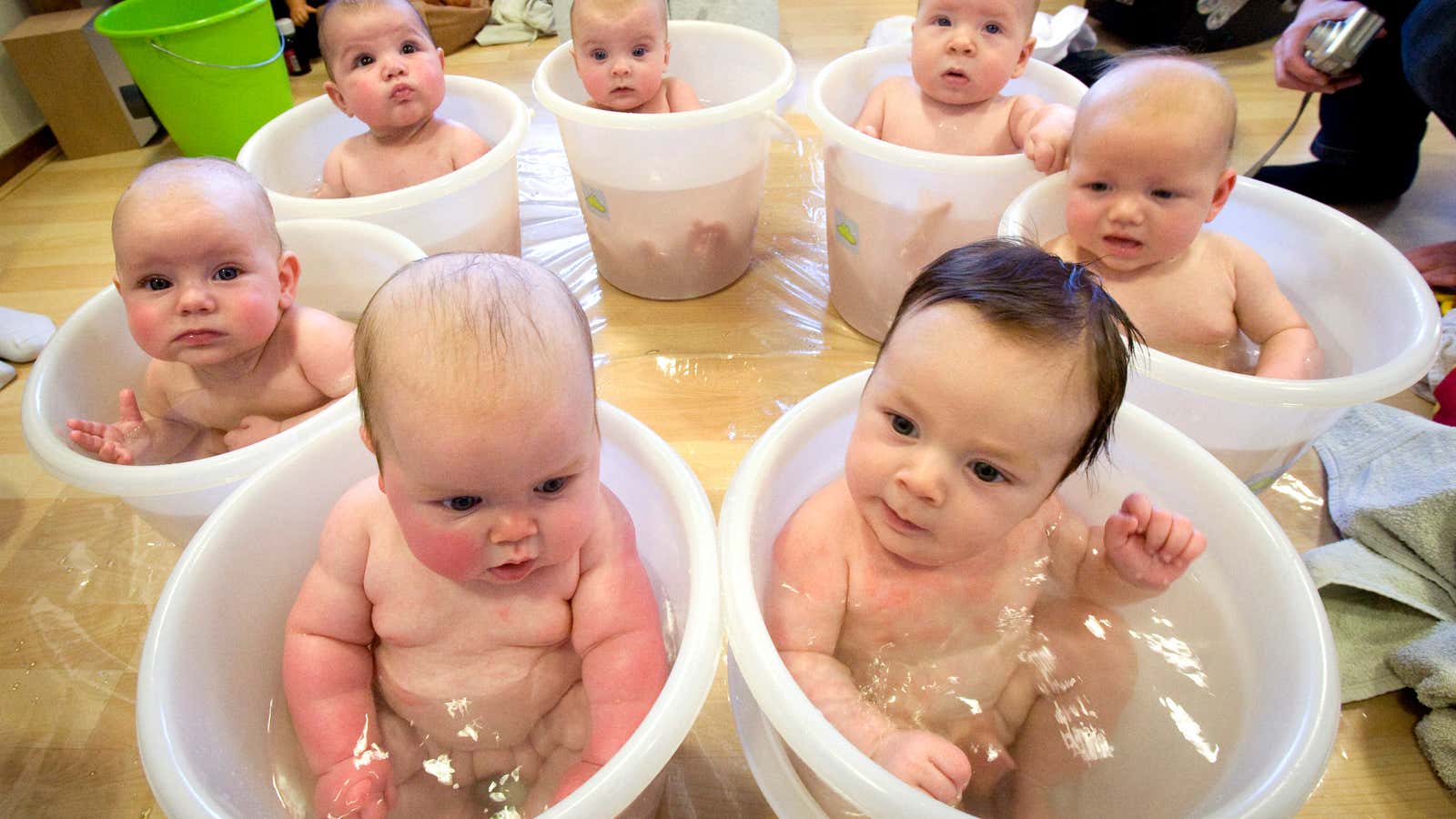 Test-bucket babies.