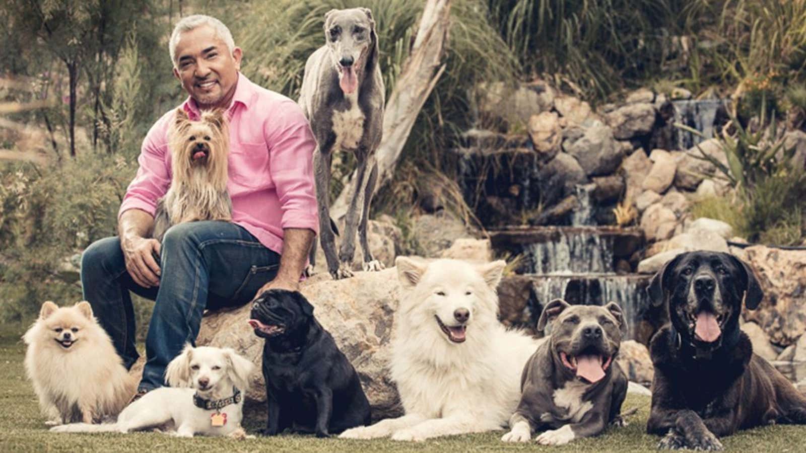 TV’s dog whisperer.