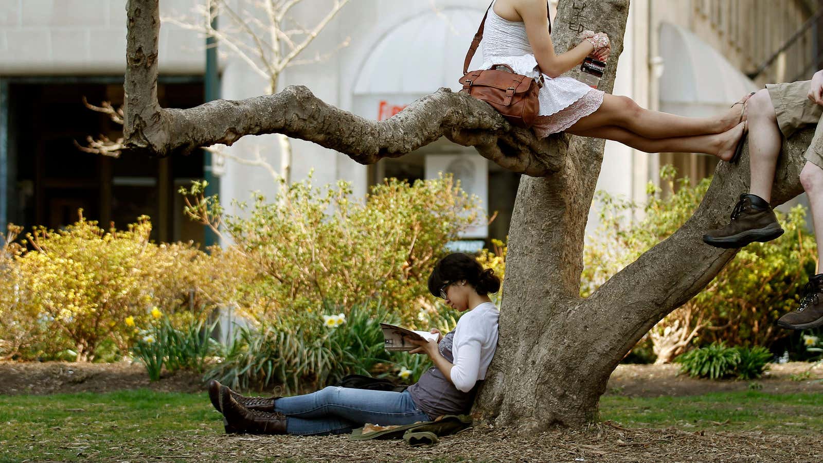 Amanda Diaz, bottom left, reads a book as Ciara Perez, top left, and Chris Elam sit in a tree during the unseasonably warm weather in…