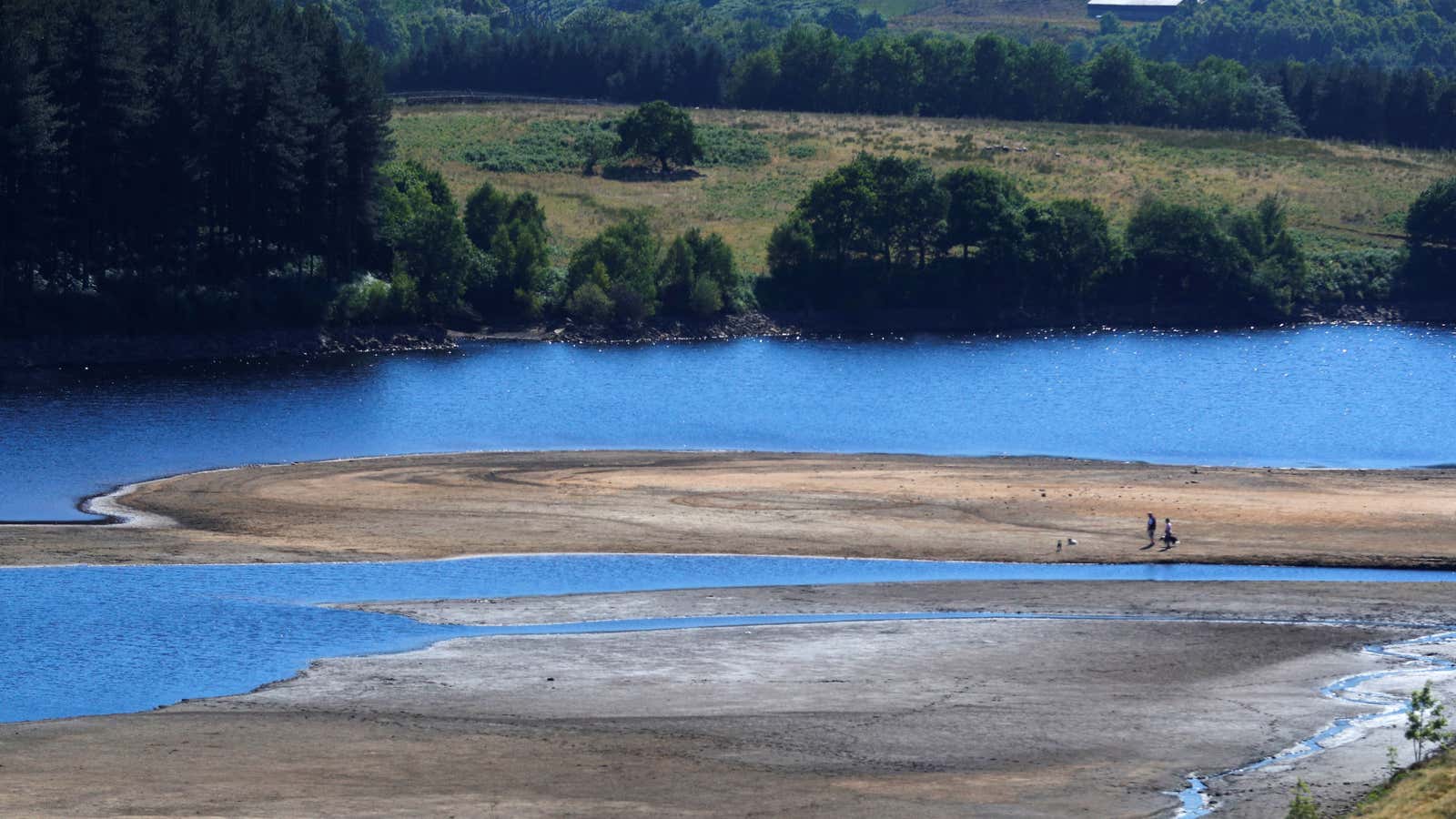 The heatwave has reached part of the UK, too, drying up bodies of water.