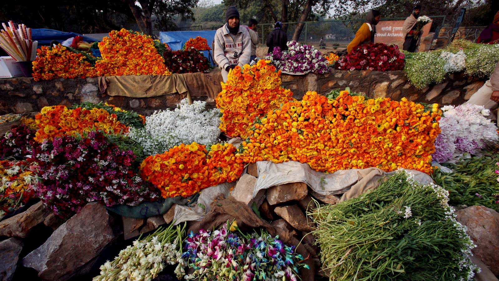 A bouquet of colour.