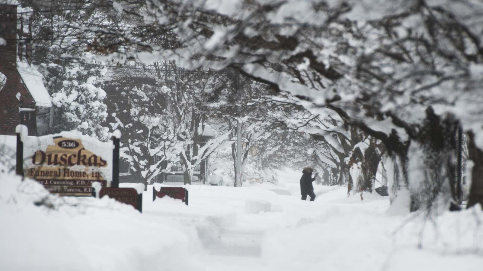 A resident out walking in Erie on Dec. 10.