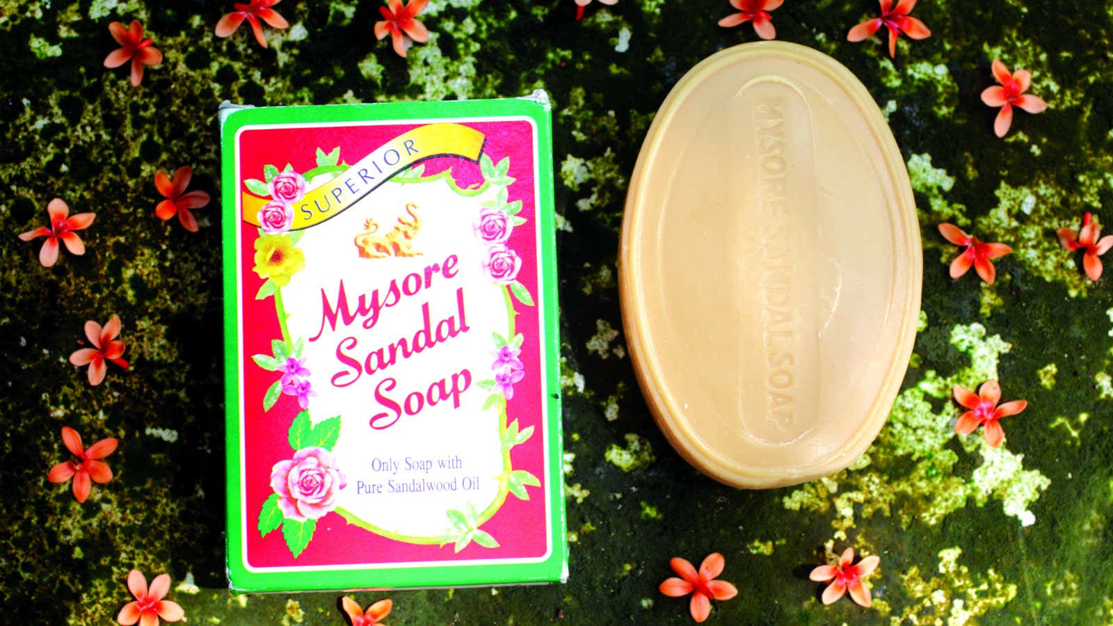 Mysore Mysore Sandal Soap (75 g) – Smallflower