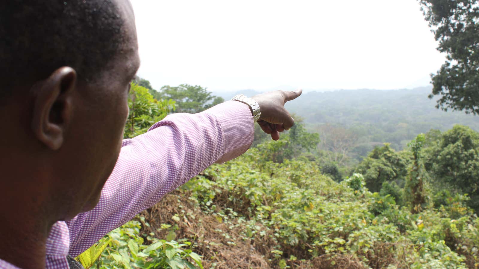 The Ekuri Community’s forest which will make may for the proposed highway.