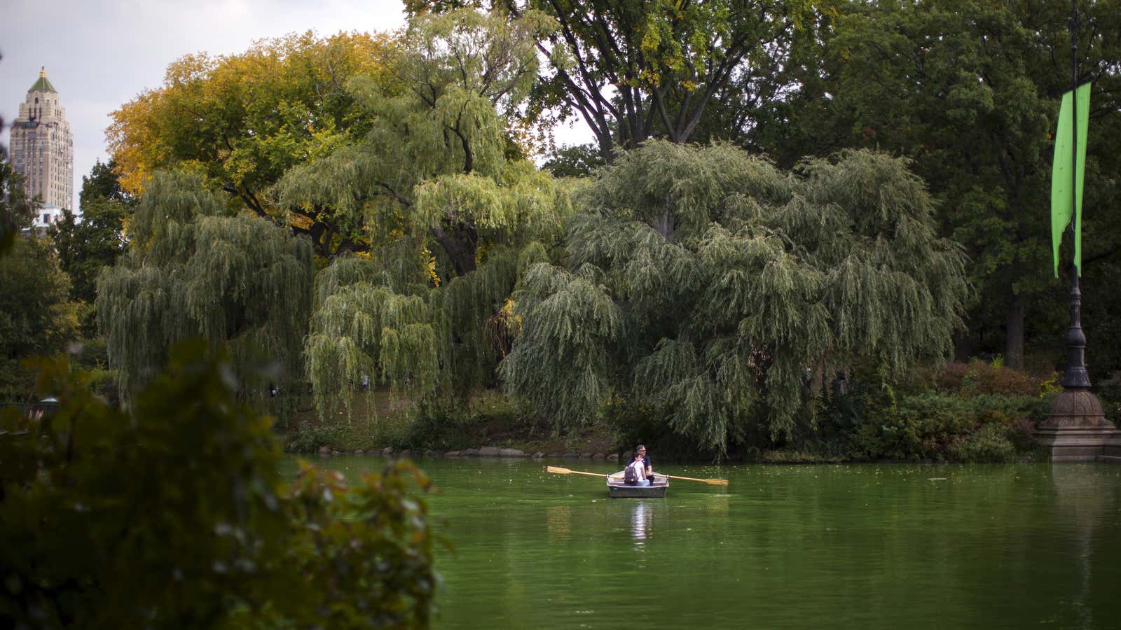 Donald Trump trademarked “Central Park”