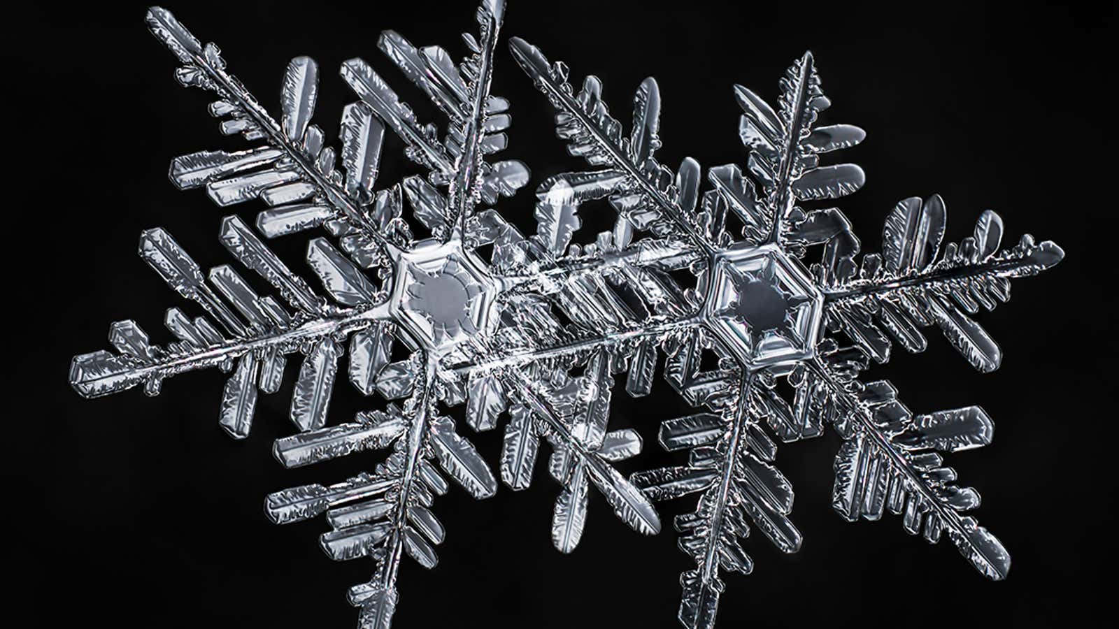 A photographer’s scientific approach to shooting snowflakes reveals stunning geometric variety