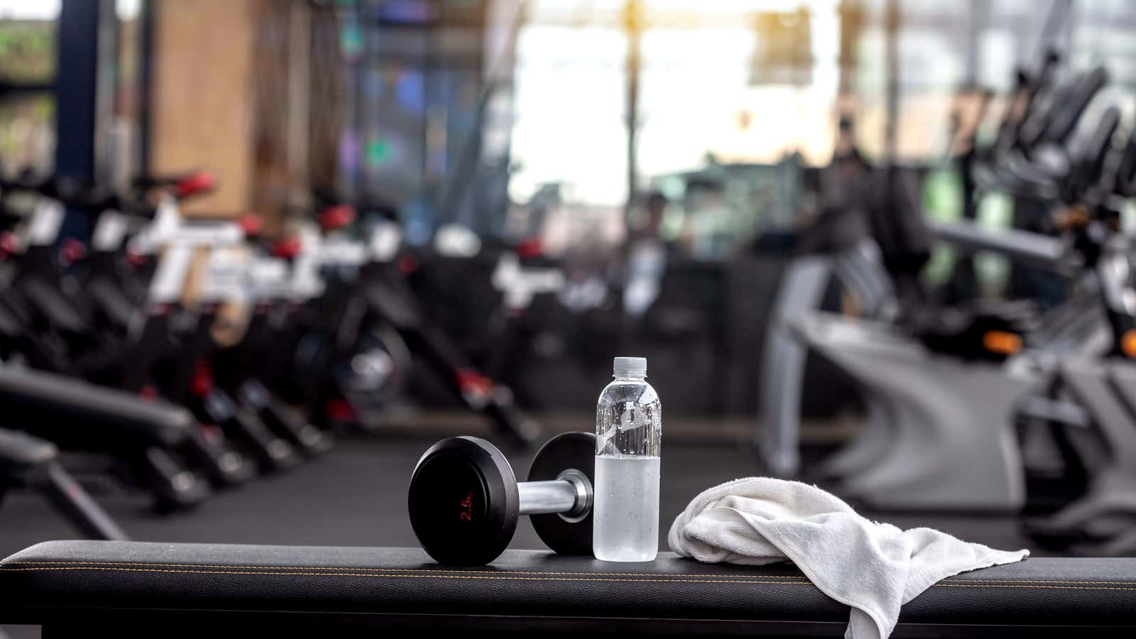 Image for These lifestyle gyms aren't competing with Ozempic — they're embracing it