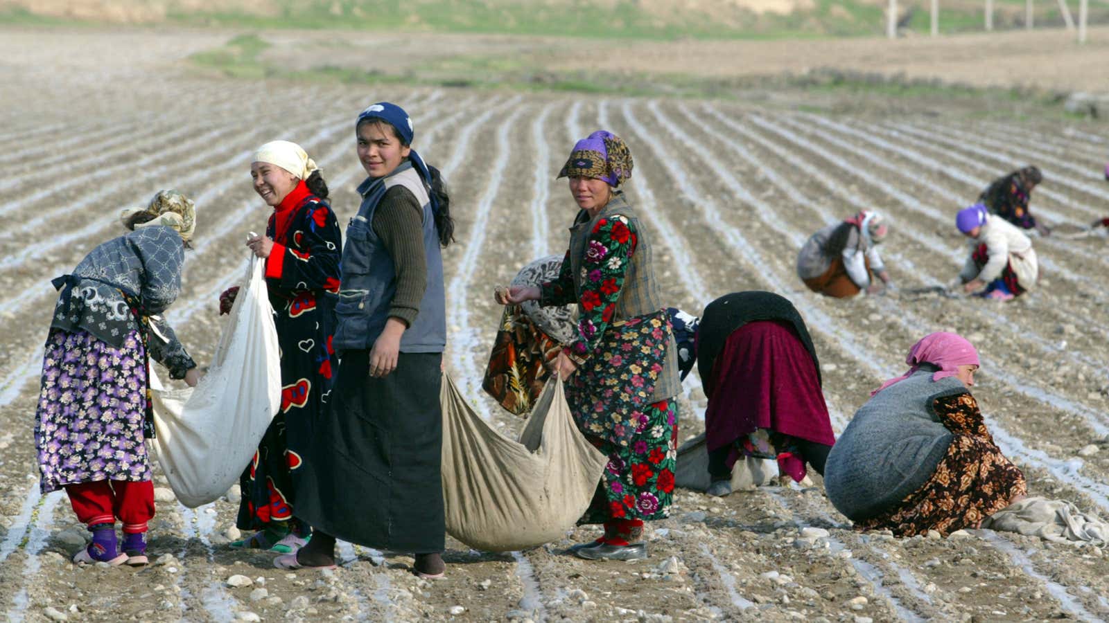 Workers East of Tashkent, Uzbekistan