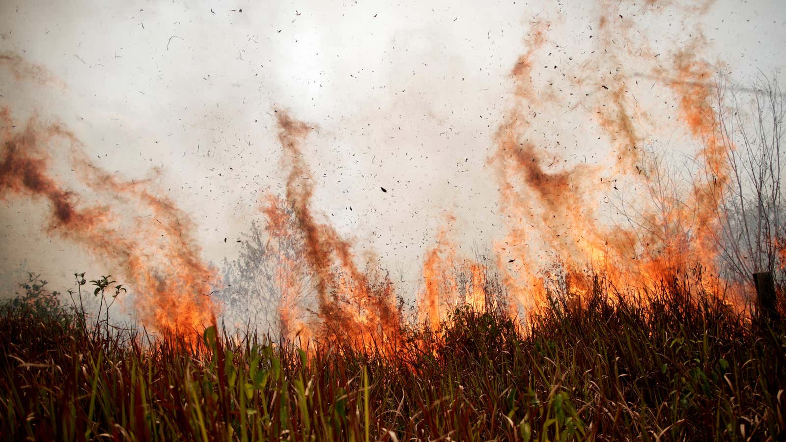 A tract of land in the Amazon burns in August 2019.