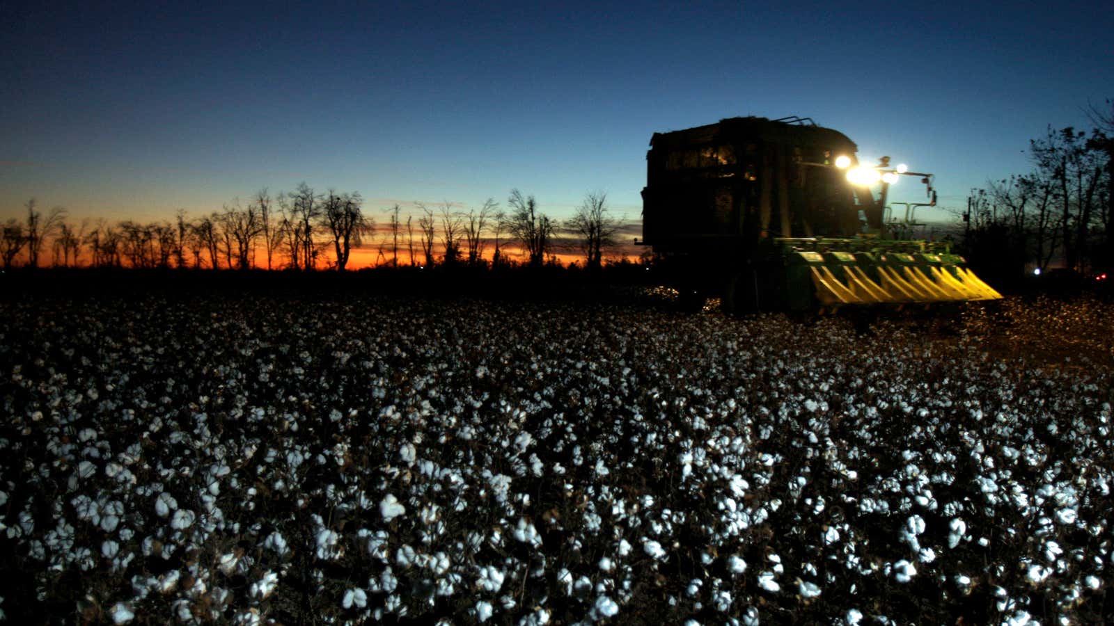 Another cotton-picking farm bill.