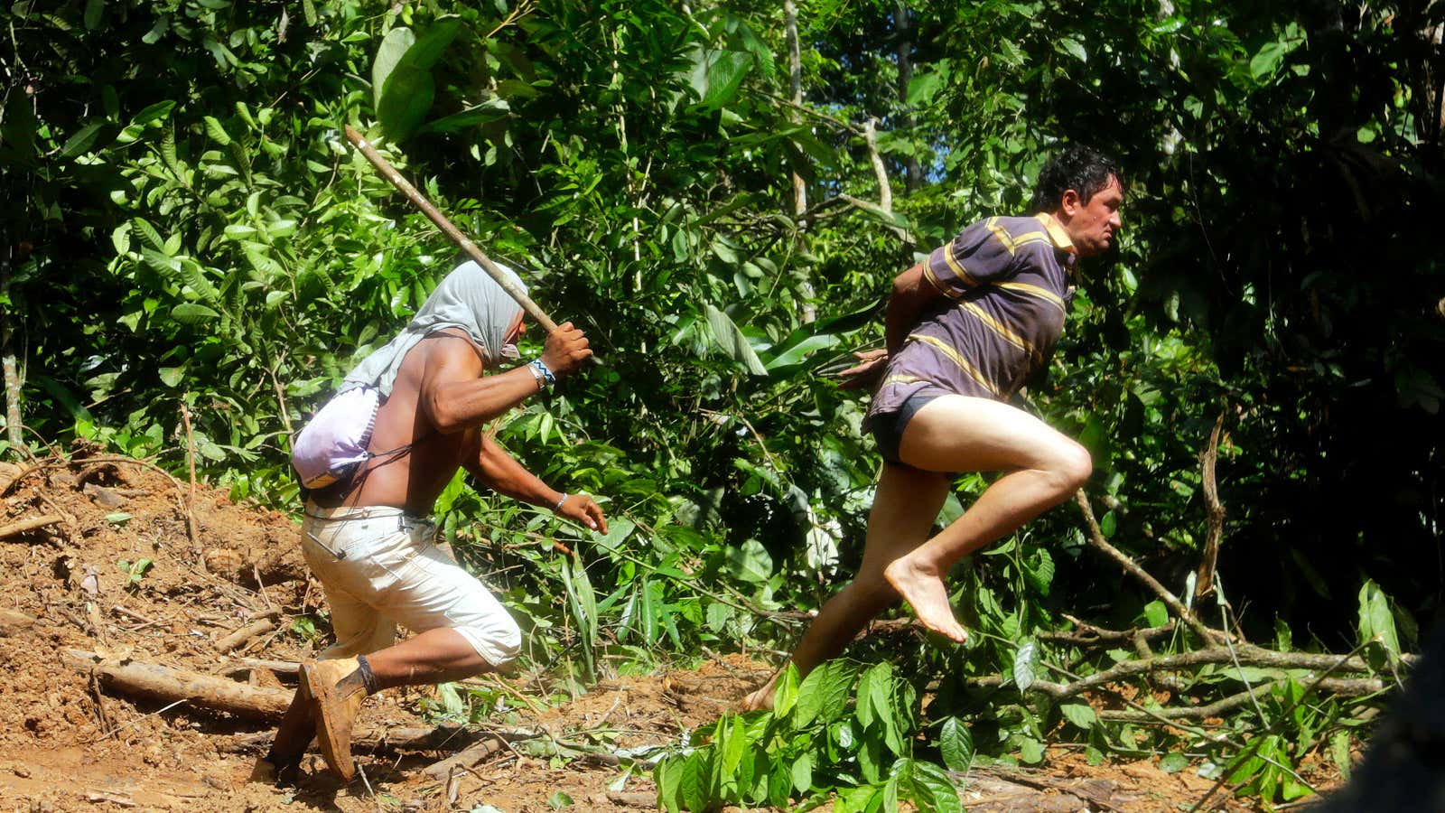 There should be a better way to protect forests than leaving local warriors to drive away loggers.