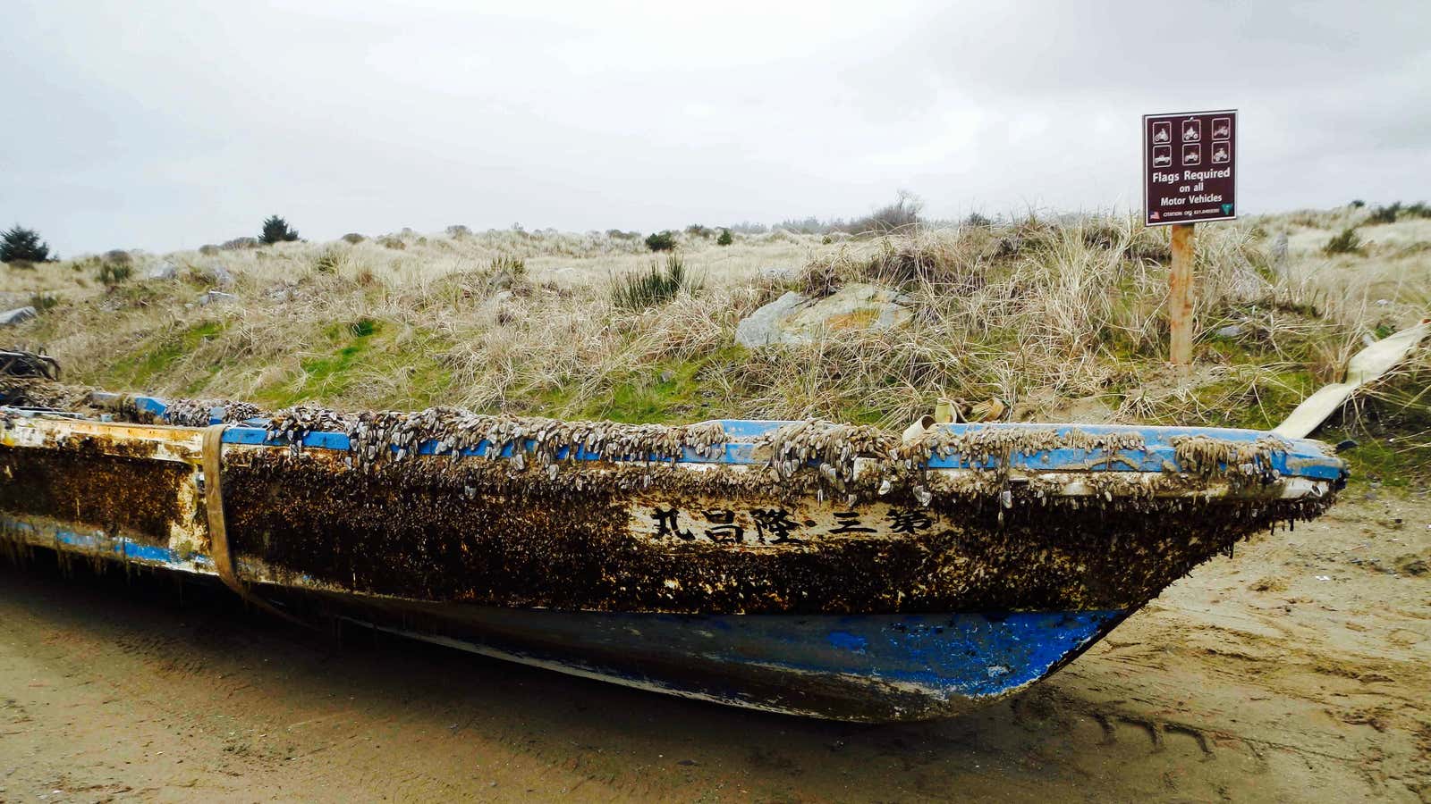 Barnacle survivors find ways to start a new life.