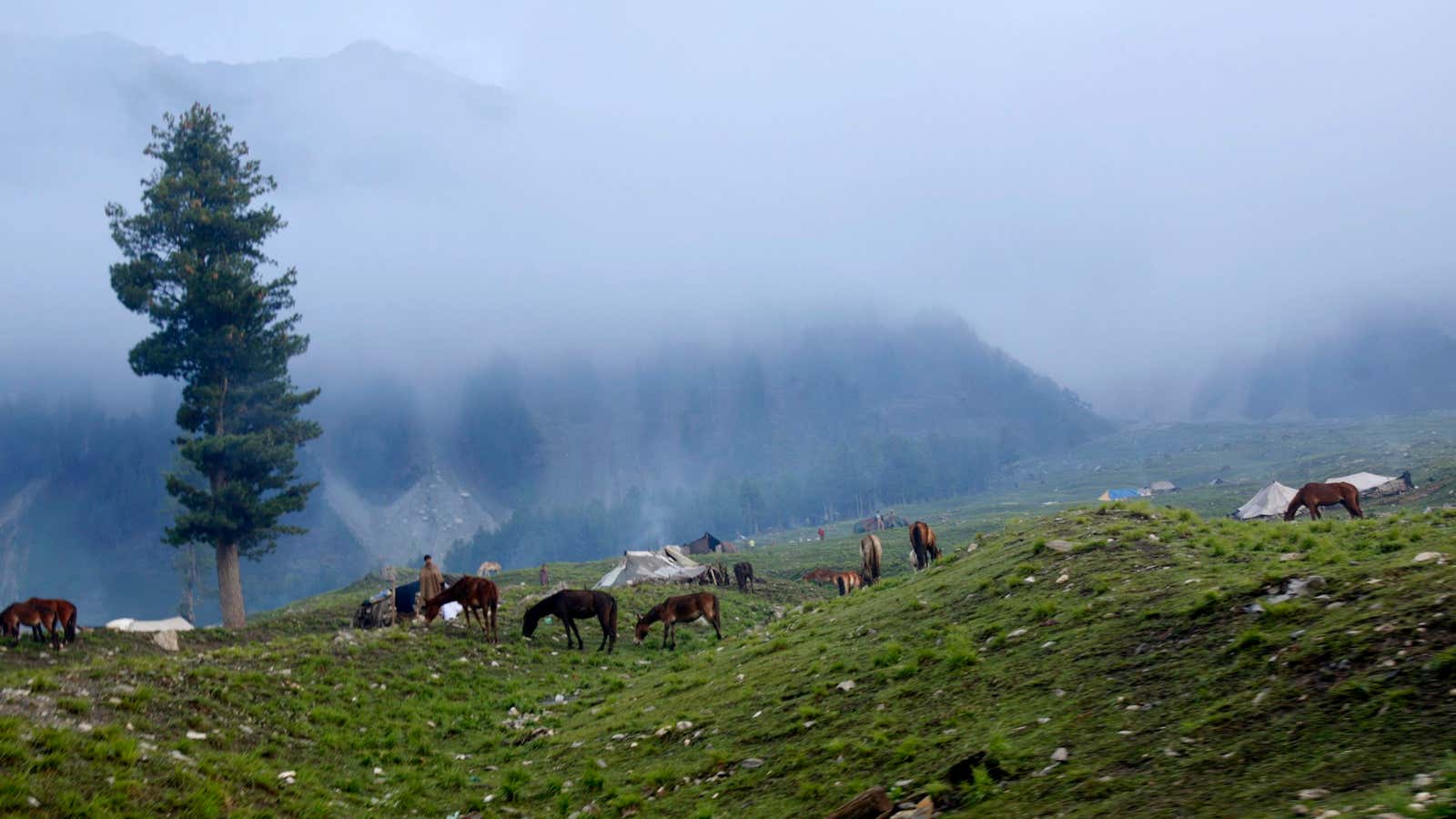 While I fed my freedom fund, vacations meant a bus ride to the mountains.