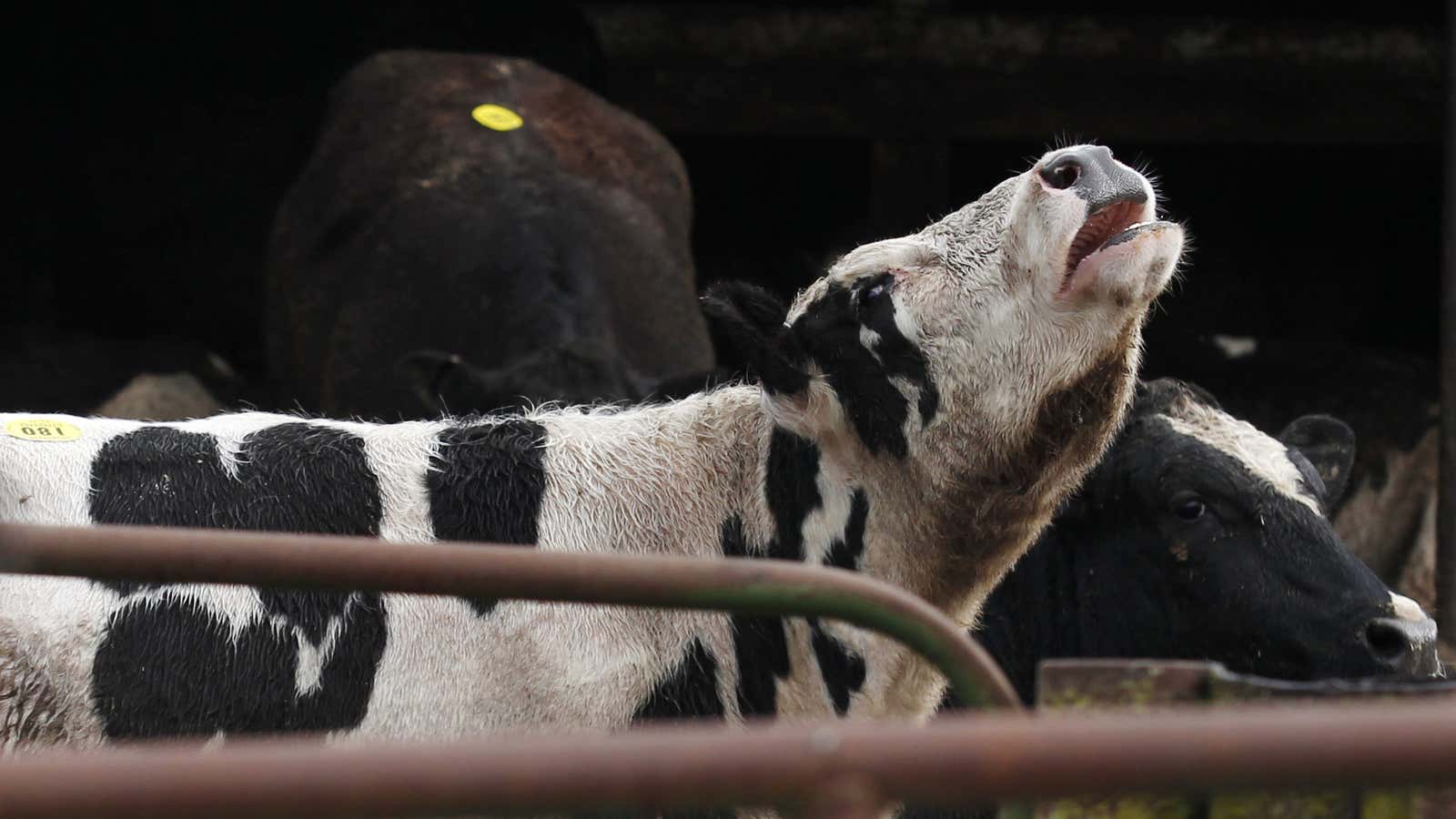 Beef prices are skyrocketing.