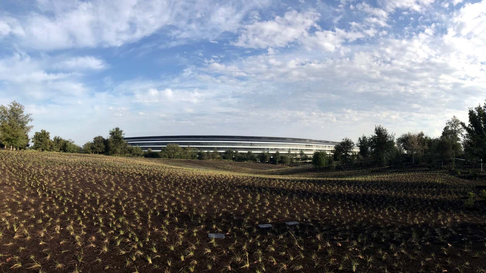 The new Apple campus, as seen from the hill next to the Steve Jobs Theater.