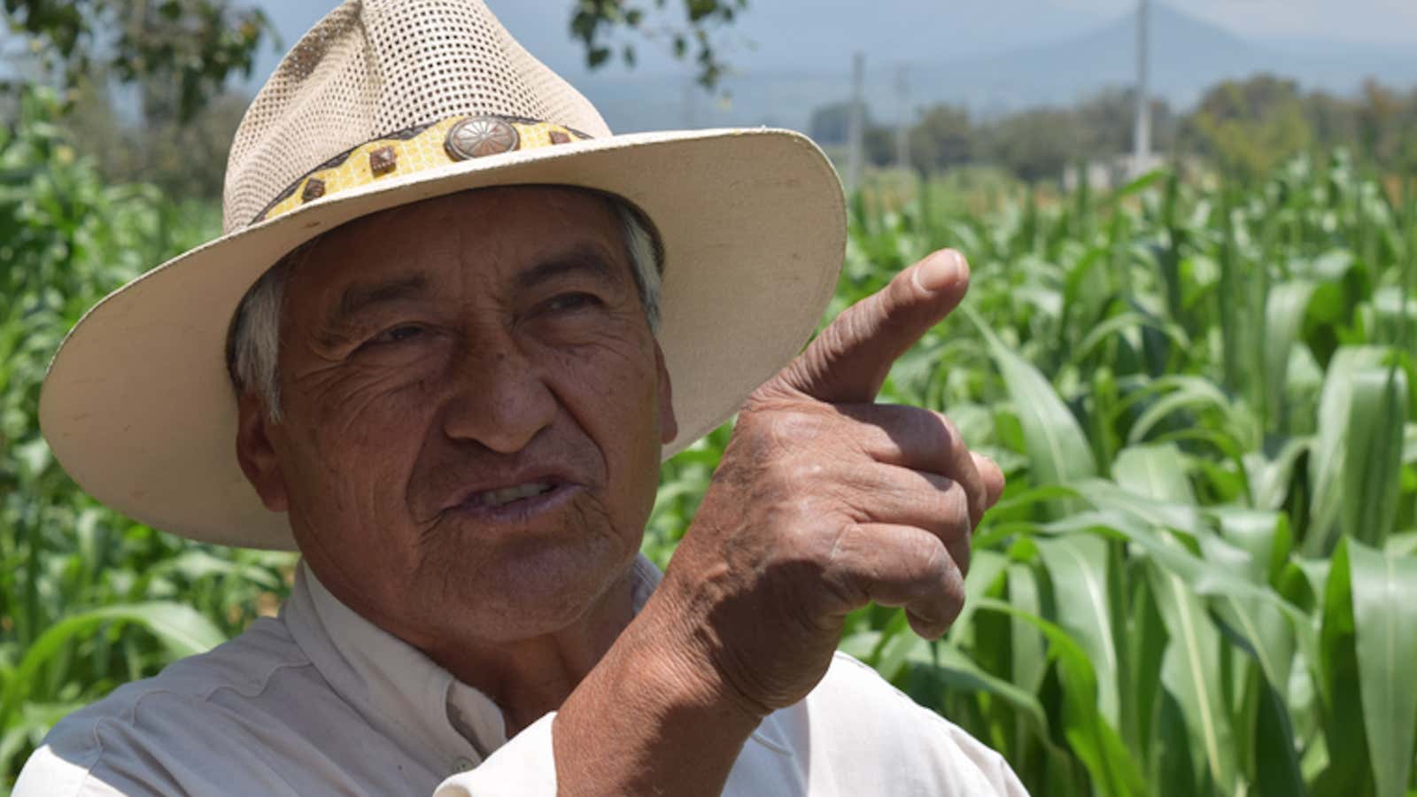 The future of farming?