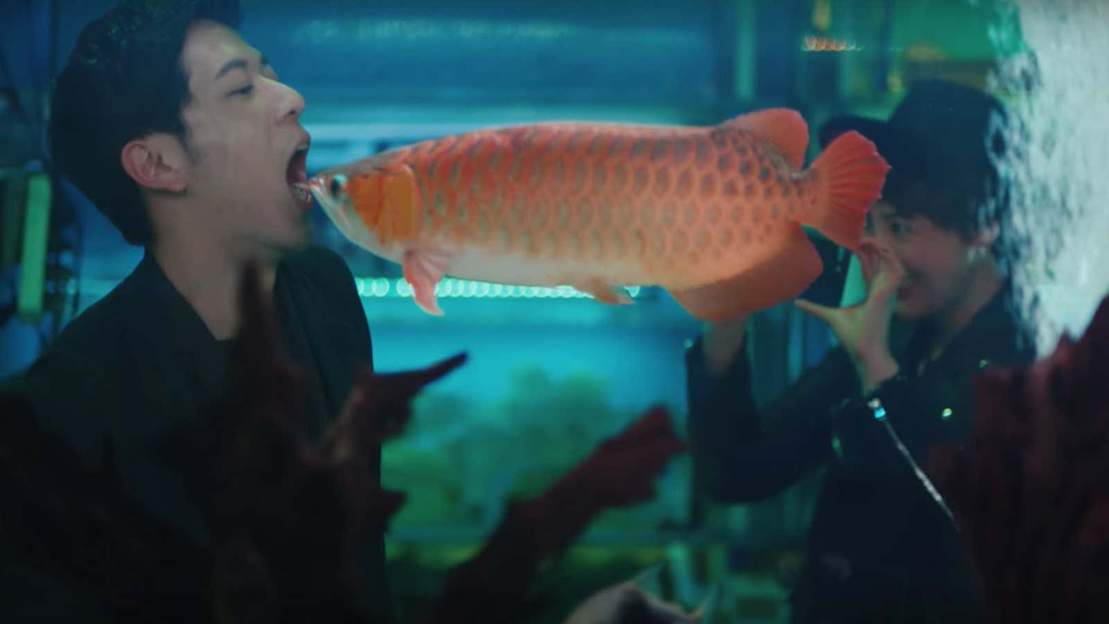 The Shanghai aquarium is part of the backdrop in one of Apple’s new advertisements.