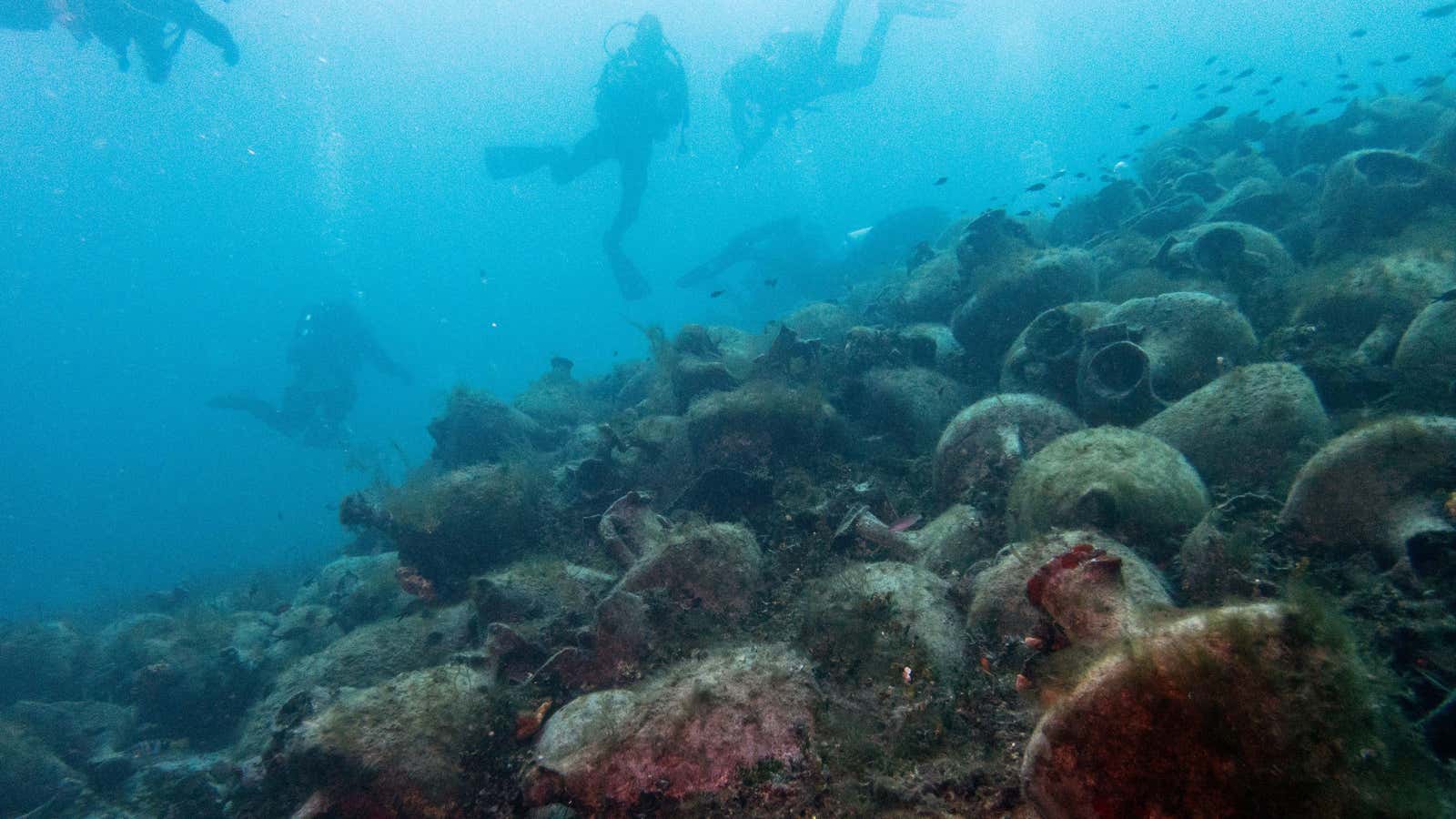 An underwater museum.