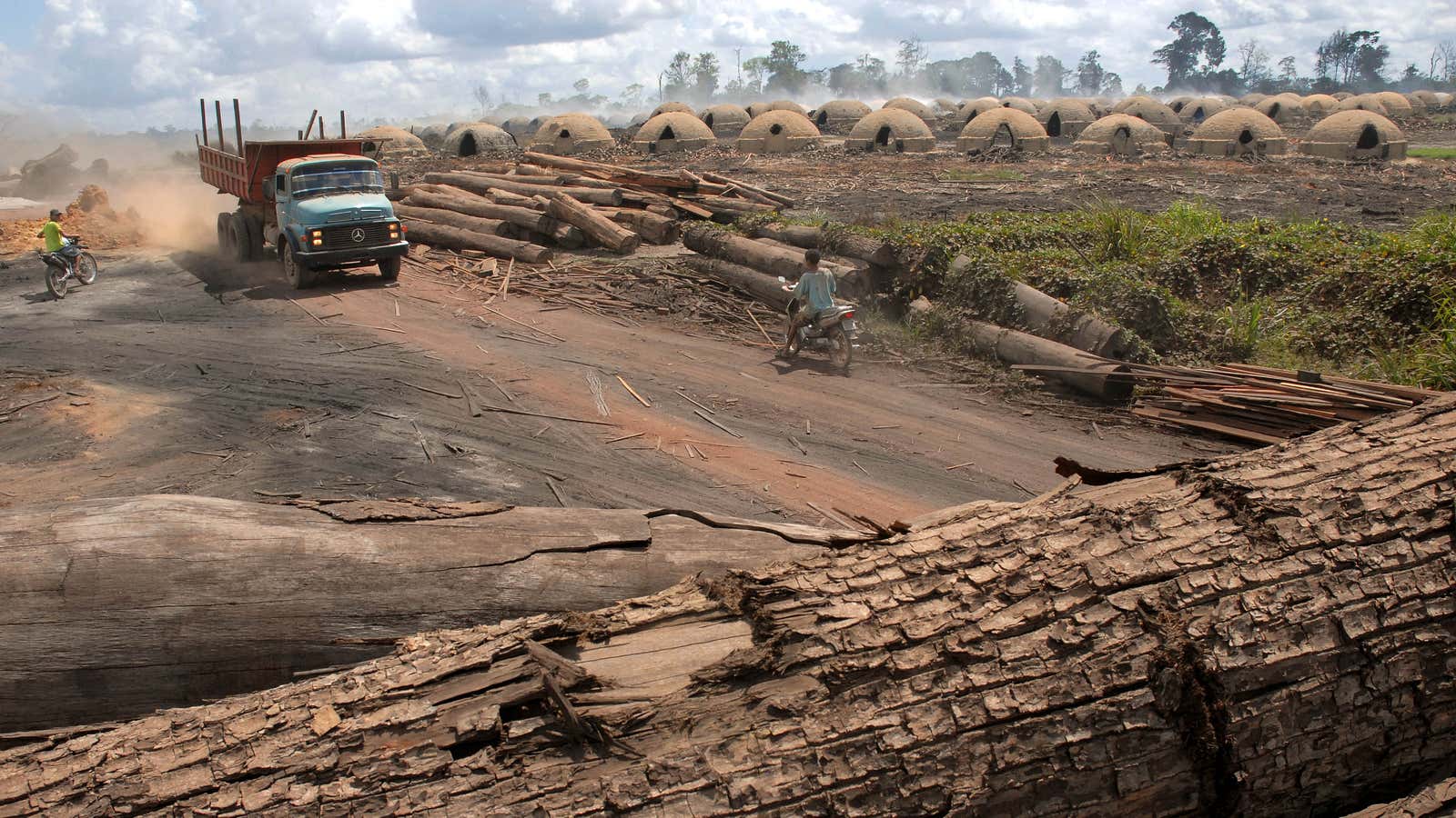 Aside from the environmental impact, deforestation is bad branding for Brazil.