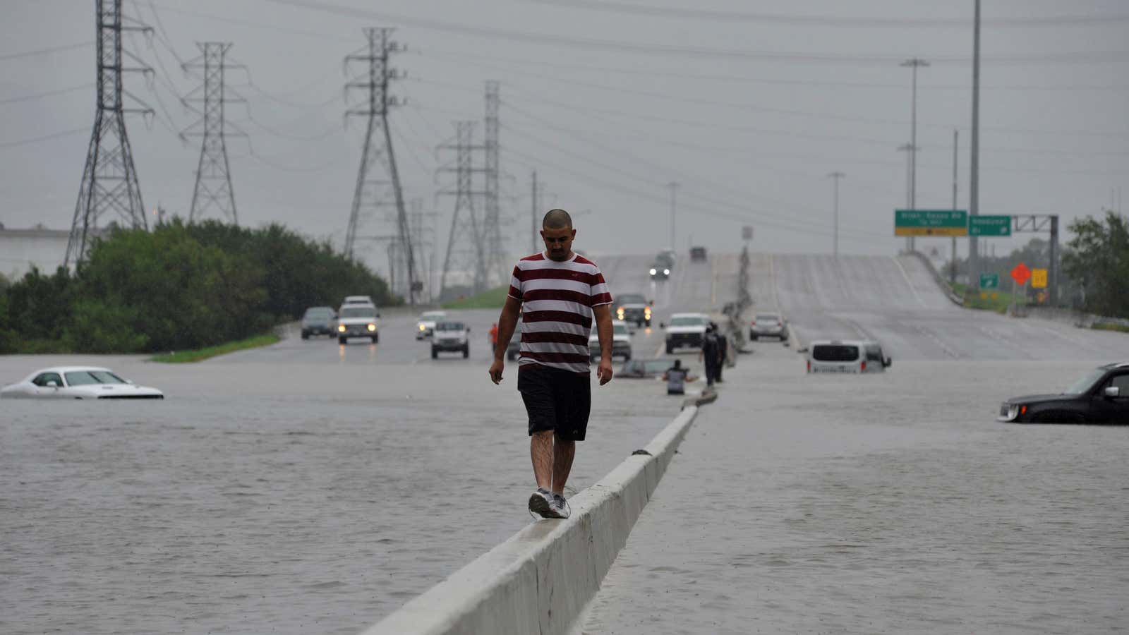 Fleeing the floodwaters.