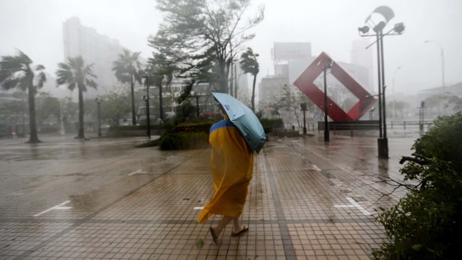 A sturdy umbrella.