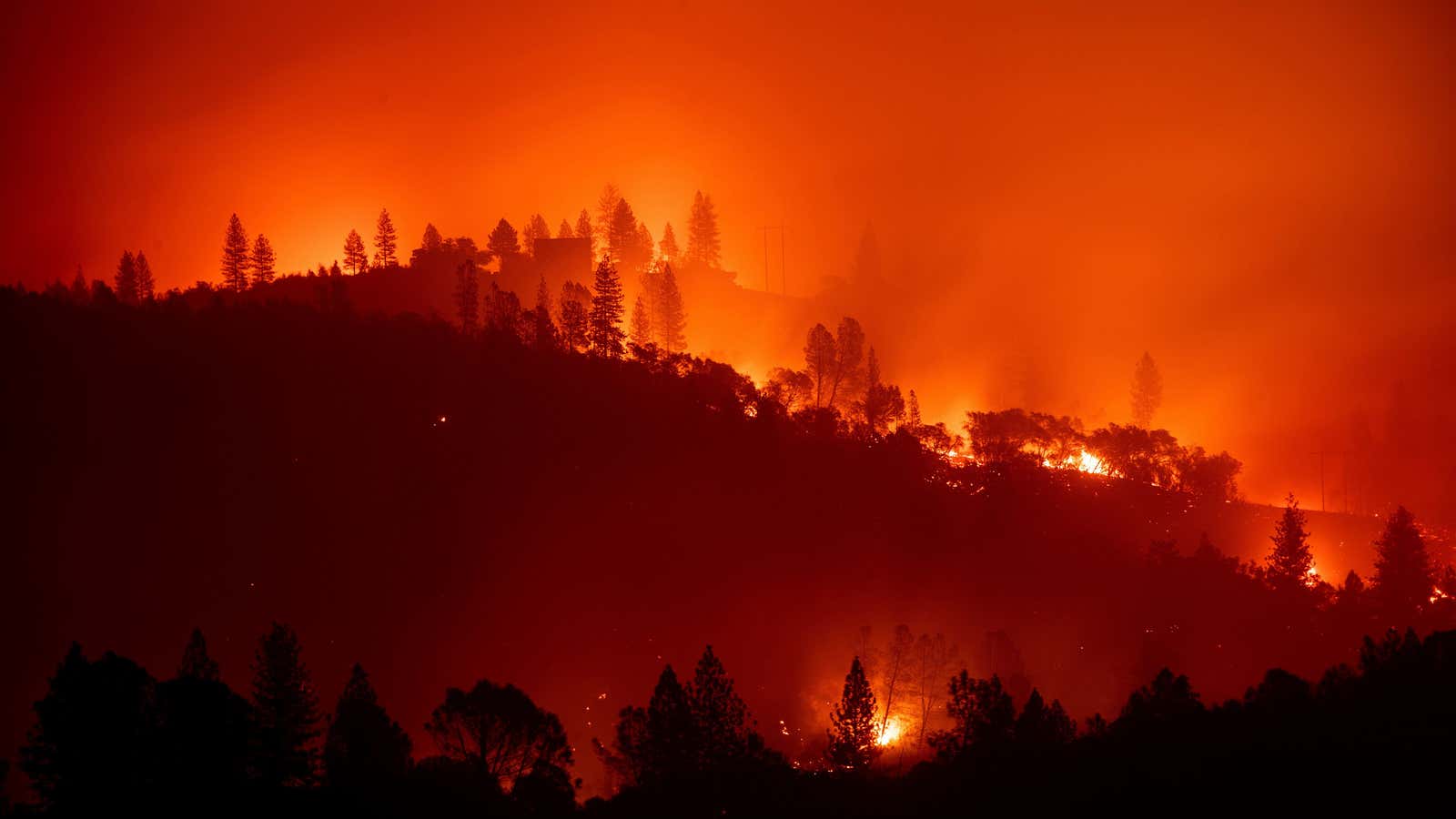 The Camp Fire burns along a ridgetop near Big Bend in California.