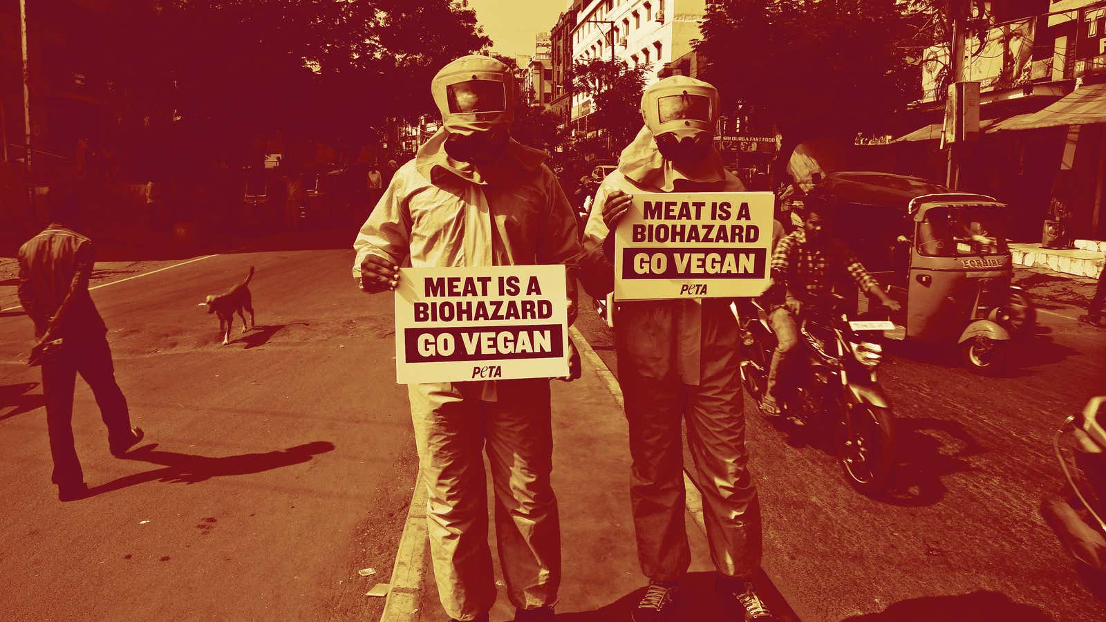 Indian activists for People for the Ethical Treatment of Animals (PETA) dressed in hazmat suits hold placards promoting veganism during a protest in Hyderabad.