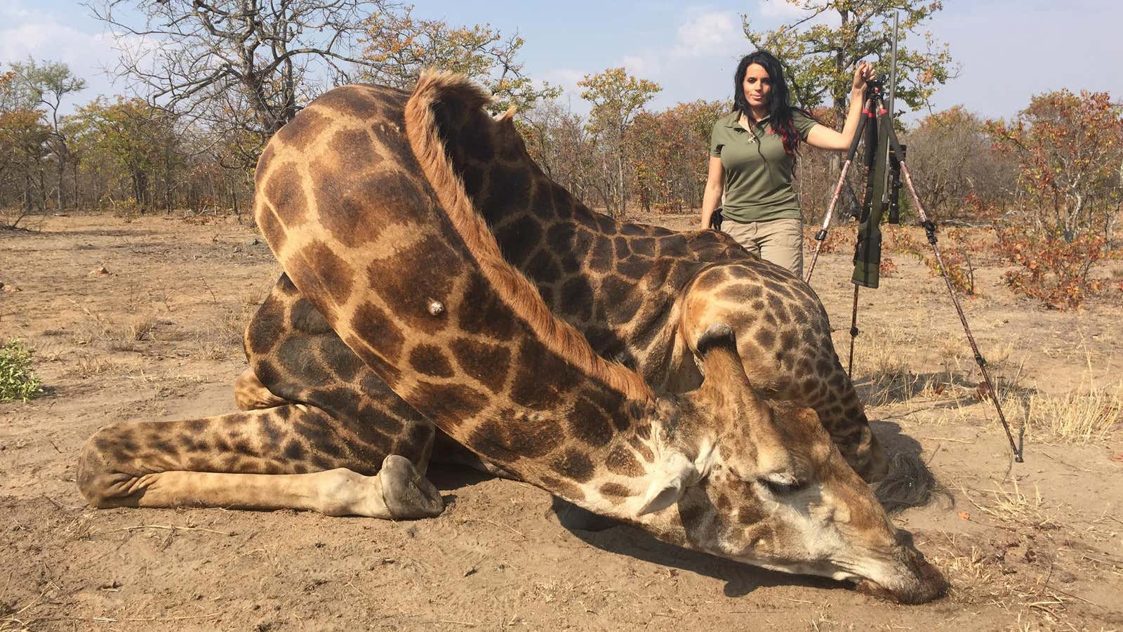 An unrepentant US hunter justified her killing of “dangerous” giraffes