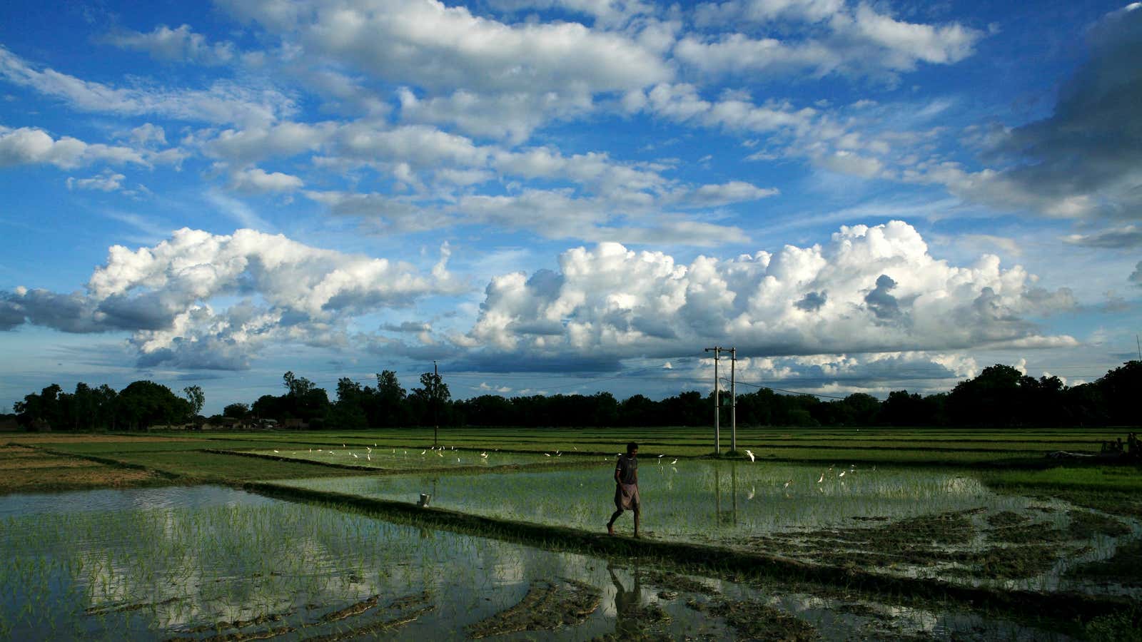 A bad monsoon may not be all bad news