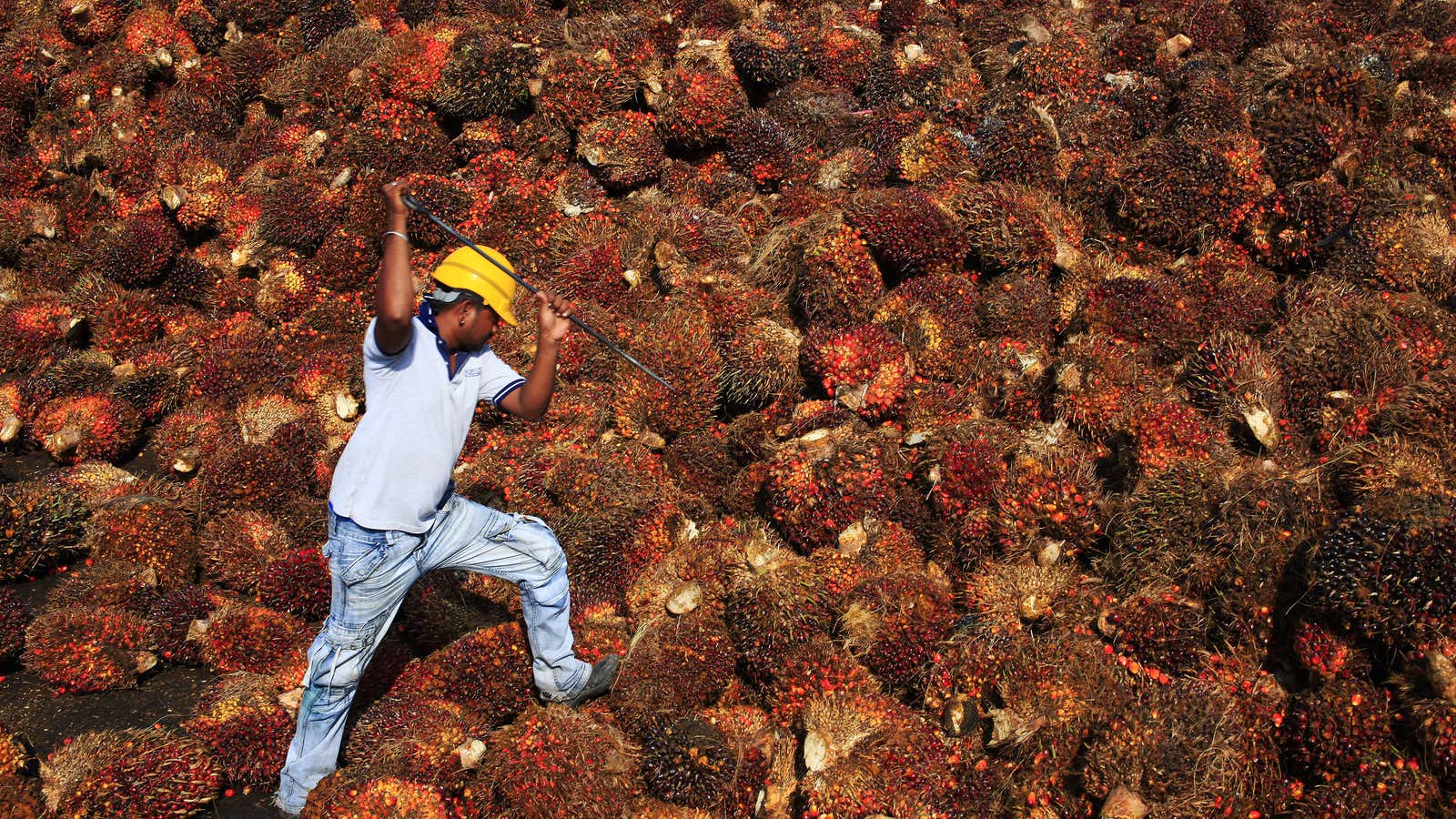 Palm oil is ubiquitous and plantations are a major contributor to climate change.