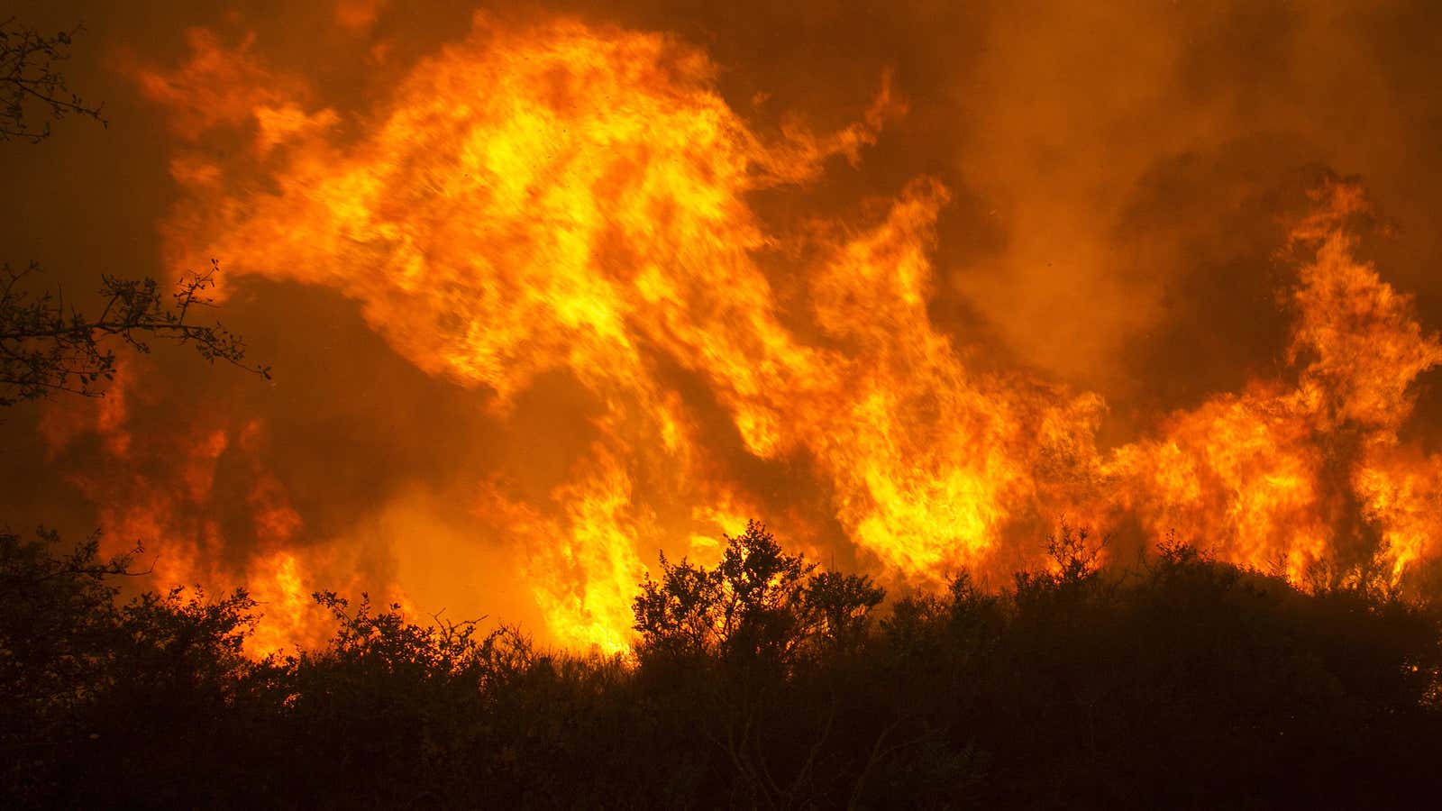 A state of emergency in wine country.