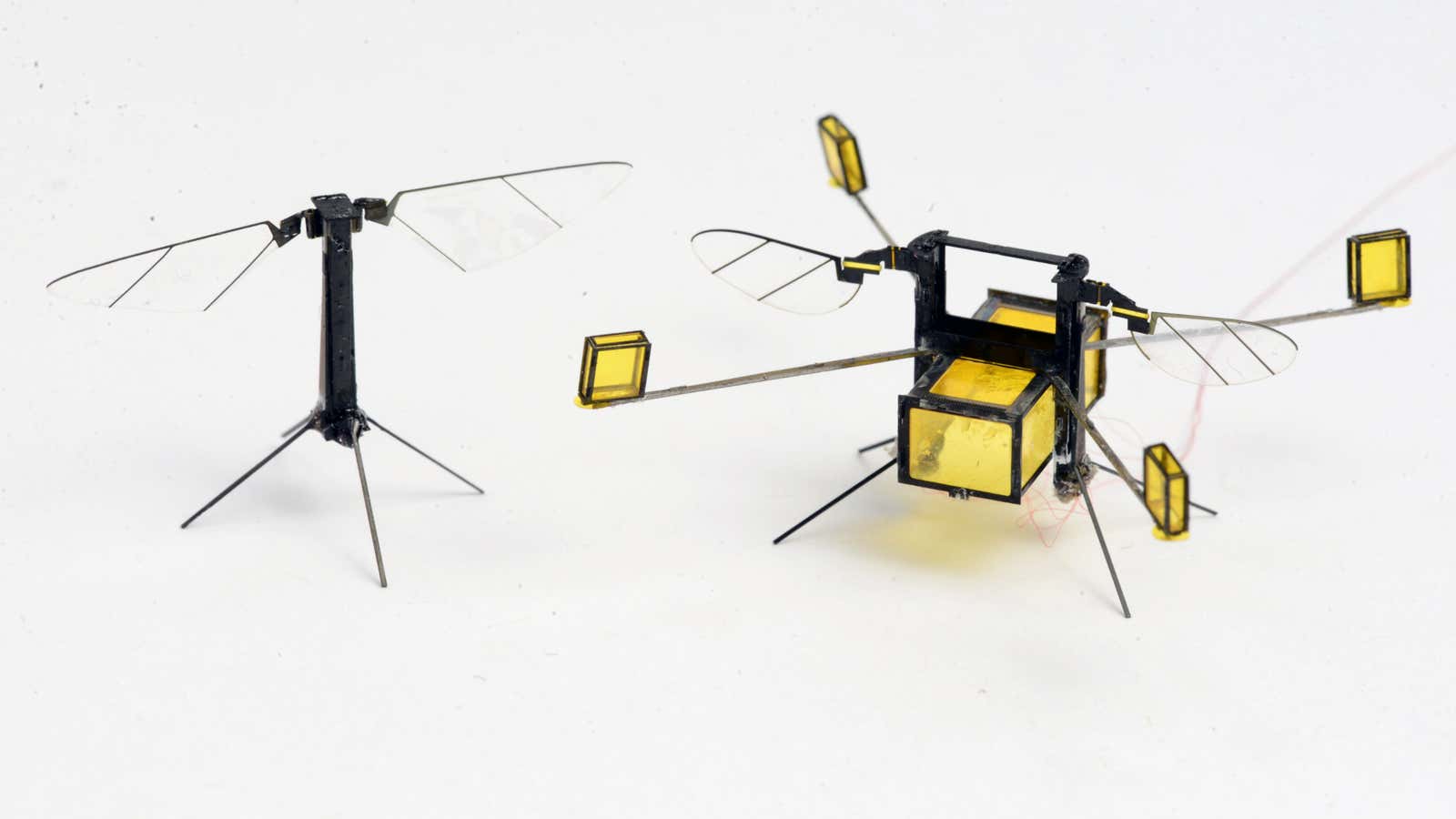 These little robots can fly in and out of water using their insect-inspired wings.