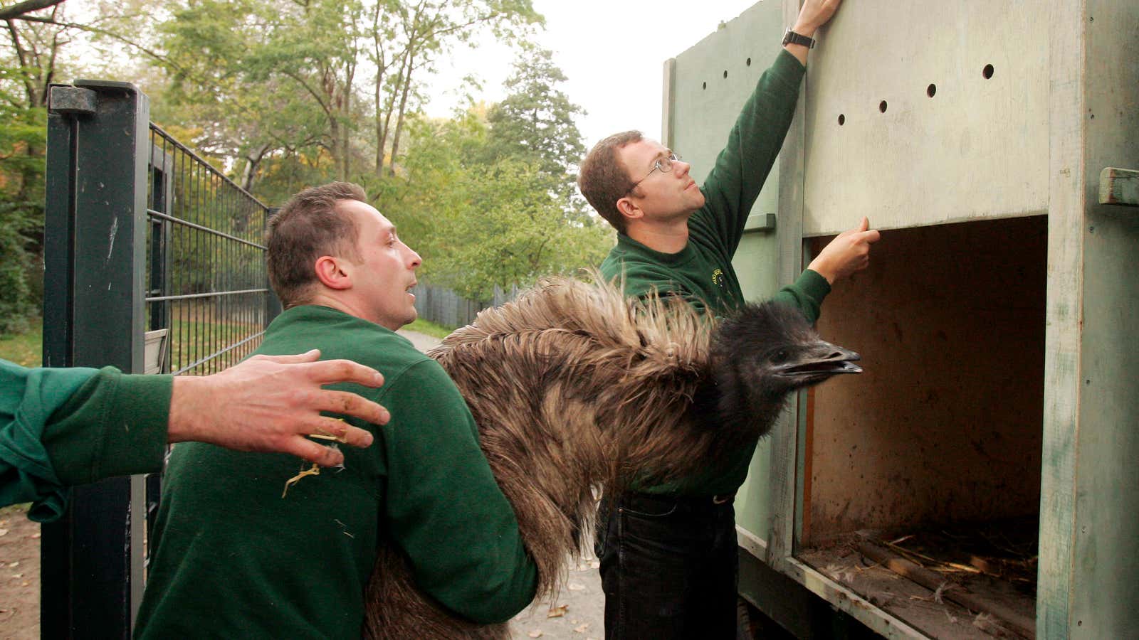 We’re going to need a bigger Bird Box.