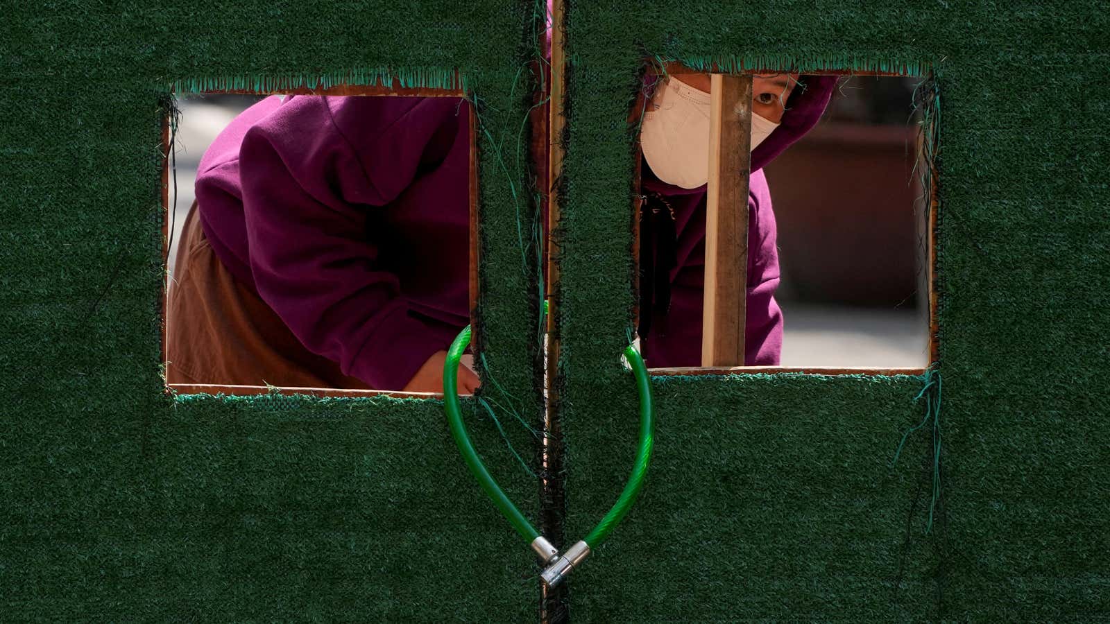 A resident in Shanghai looks out through a barrier during a covid lockdown.