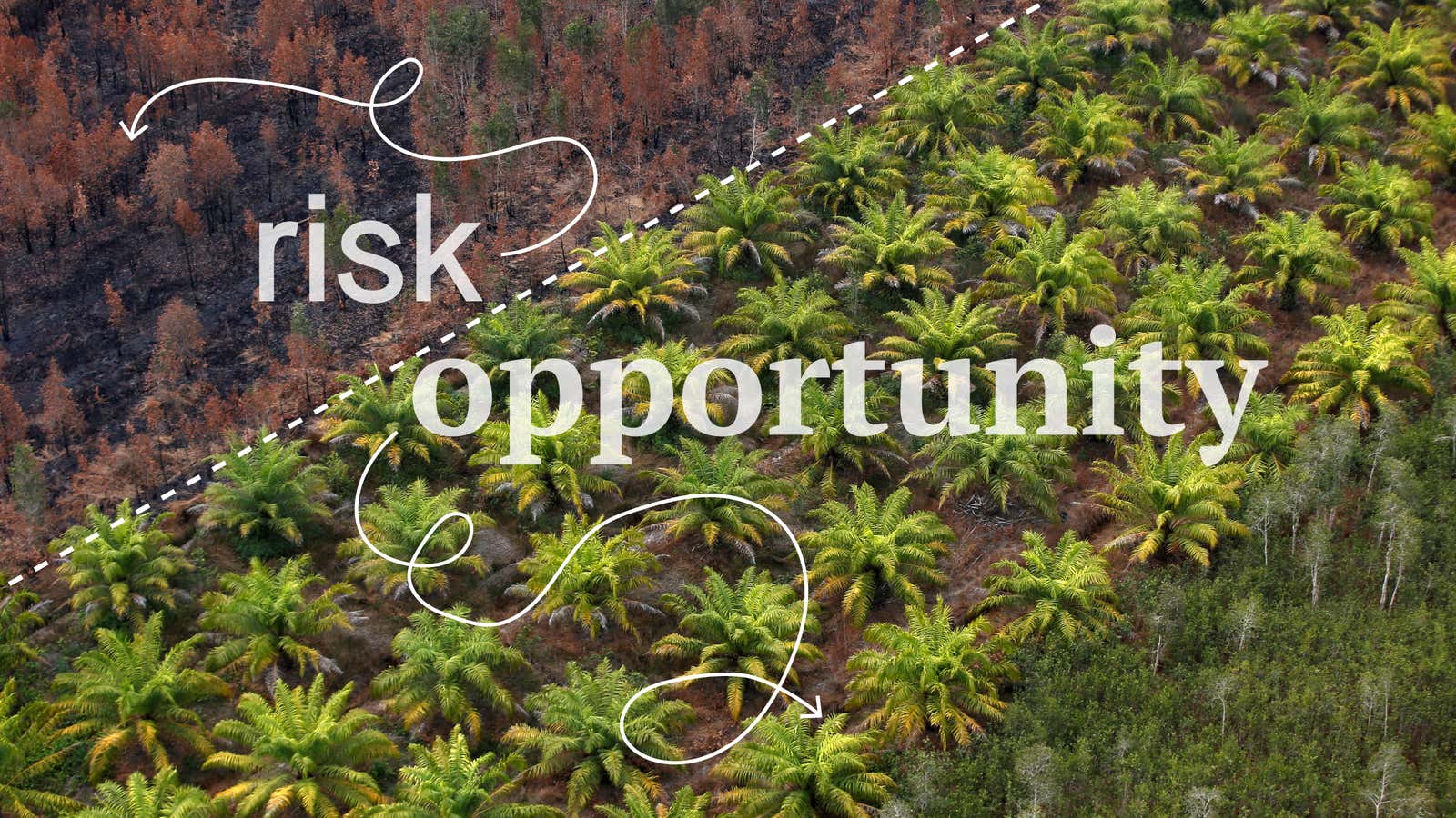 The new SEC climate rule will force companies to report business-related risks and opportunities caused by climate change,