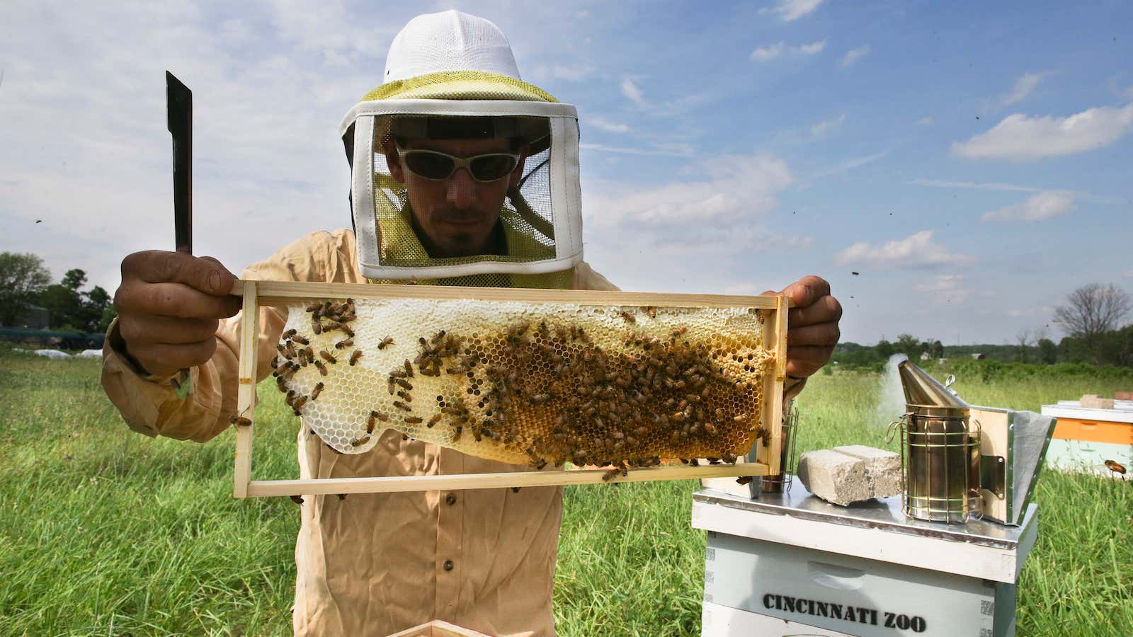 It’s Big Farm versus Big Bee.