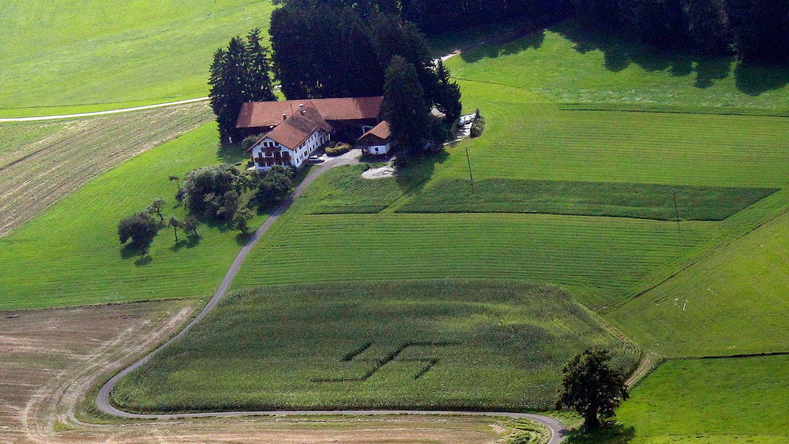 Harvesting a symbol of hate.