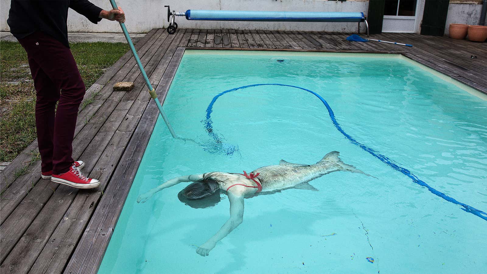 Image for Dad Removing Pool Cover Gags After Finding Dead Mermaid