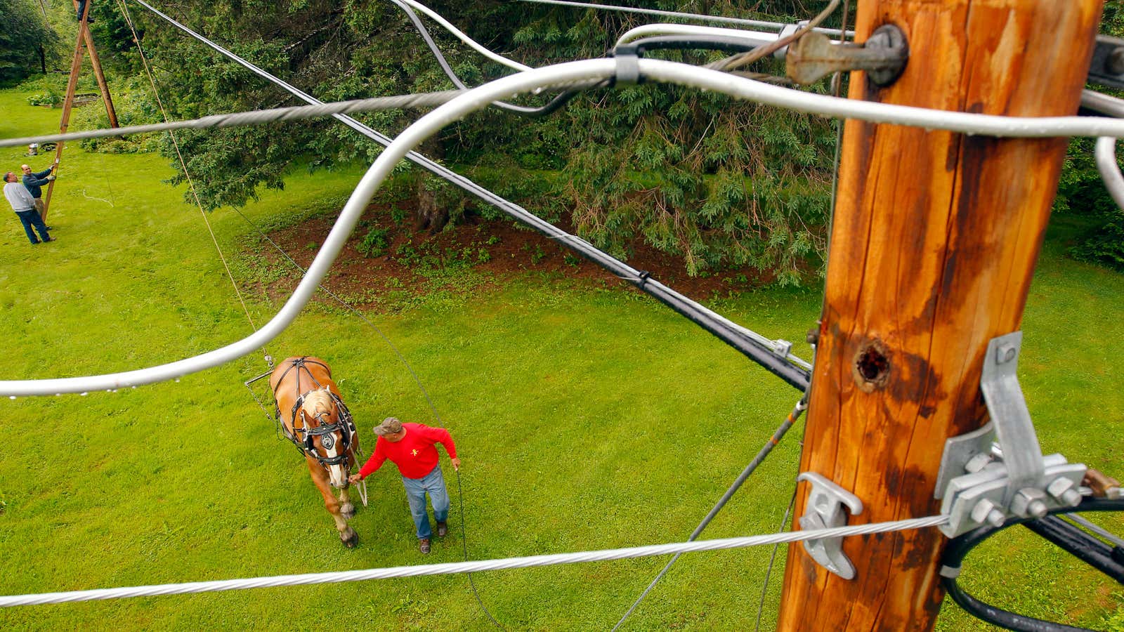 ISPs oppose net neutrality, saying it makes network improvements, like this fiber-optic pulling horse, unaffordable.