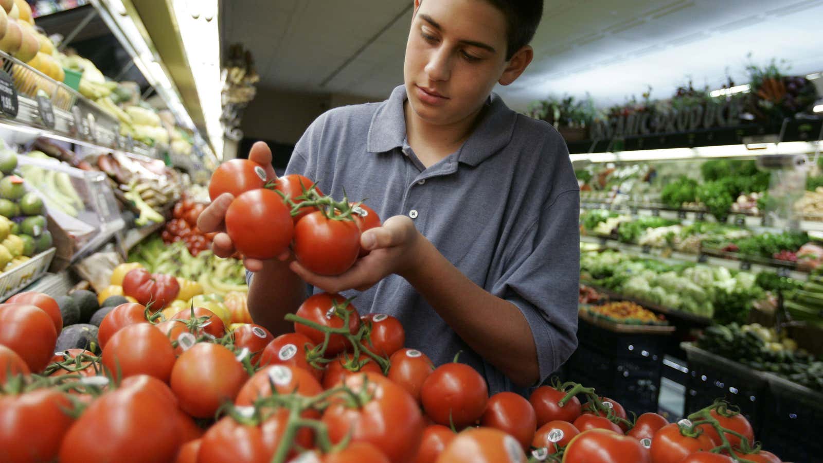 Oh you perfect, tasteless tomatoes.