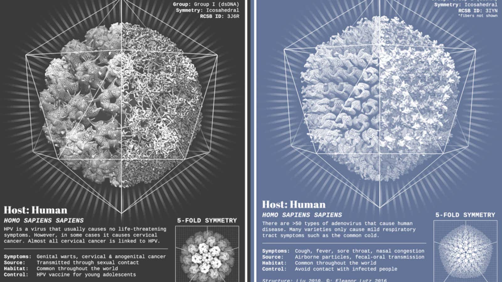 Bio snowflakes.