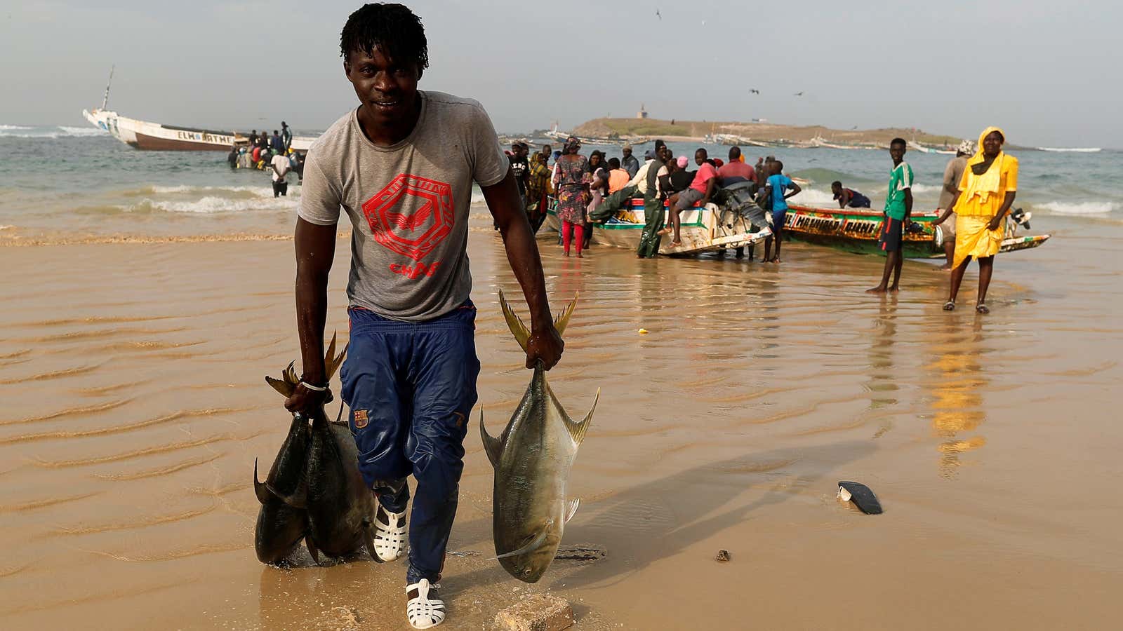 A fish seller. Port of Yoff in Dakar, Senegal February 14, 2019.